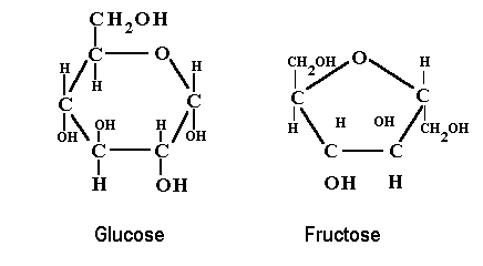 carbohydrates diagram