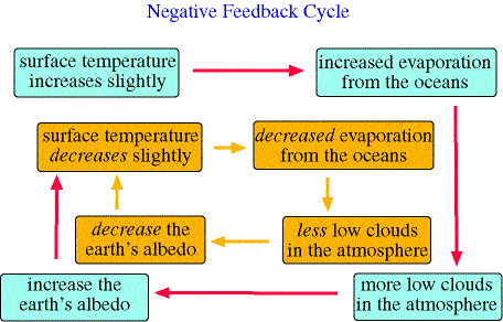 negative feedback examples of mechanism for students